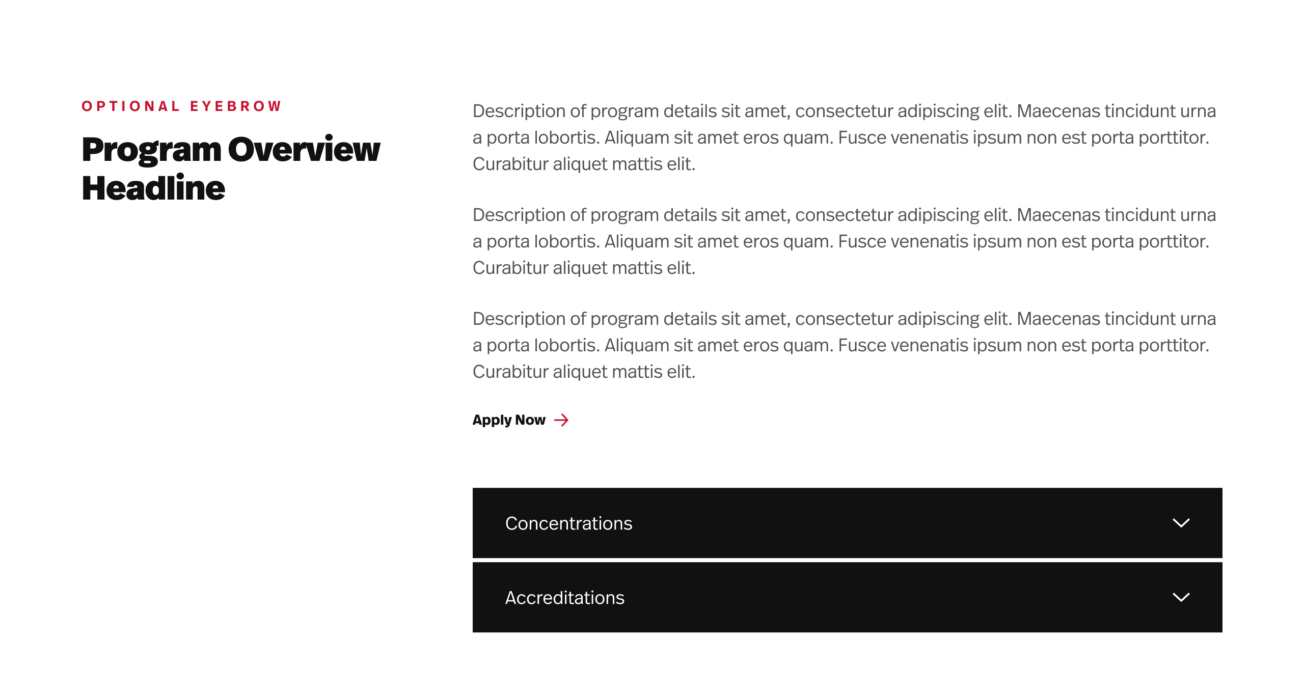 Text layout for a program overview with a headline, body text, and buttons for "Apply Now," "Concentrations," and "Accreditations" against a white background. The design includes repeated text placeholders.